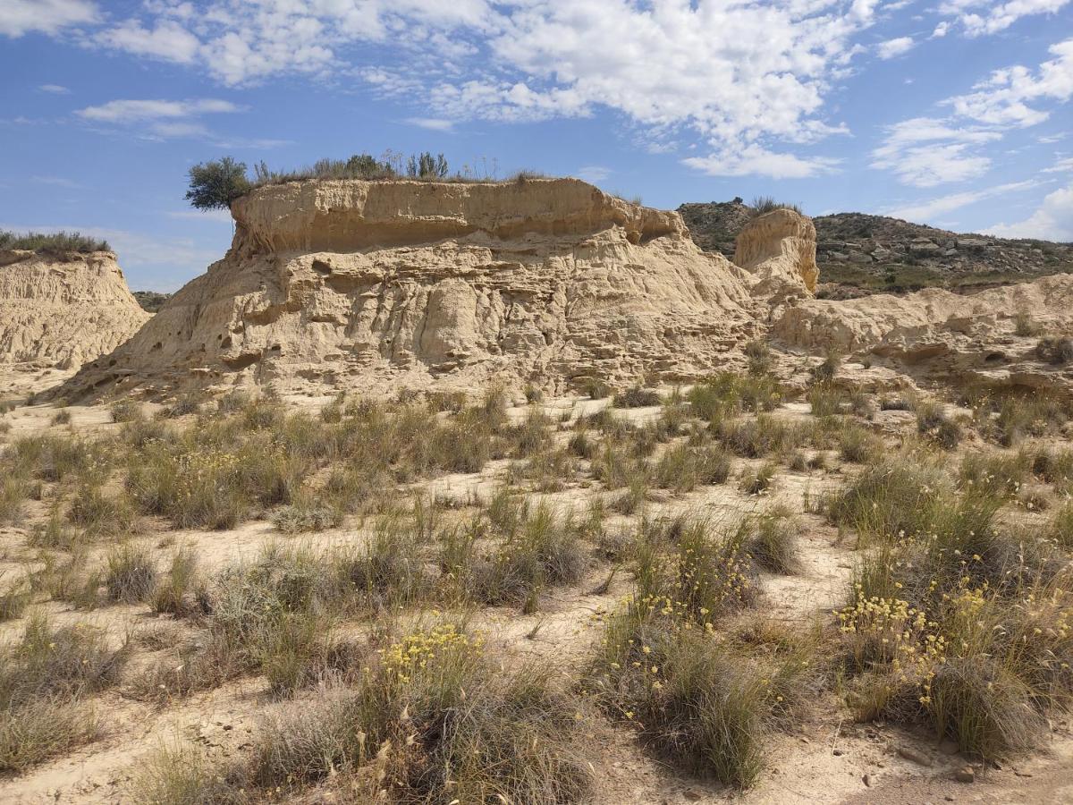 CarcastilloEl Pinar De Bardena别墅 外观 照片