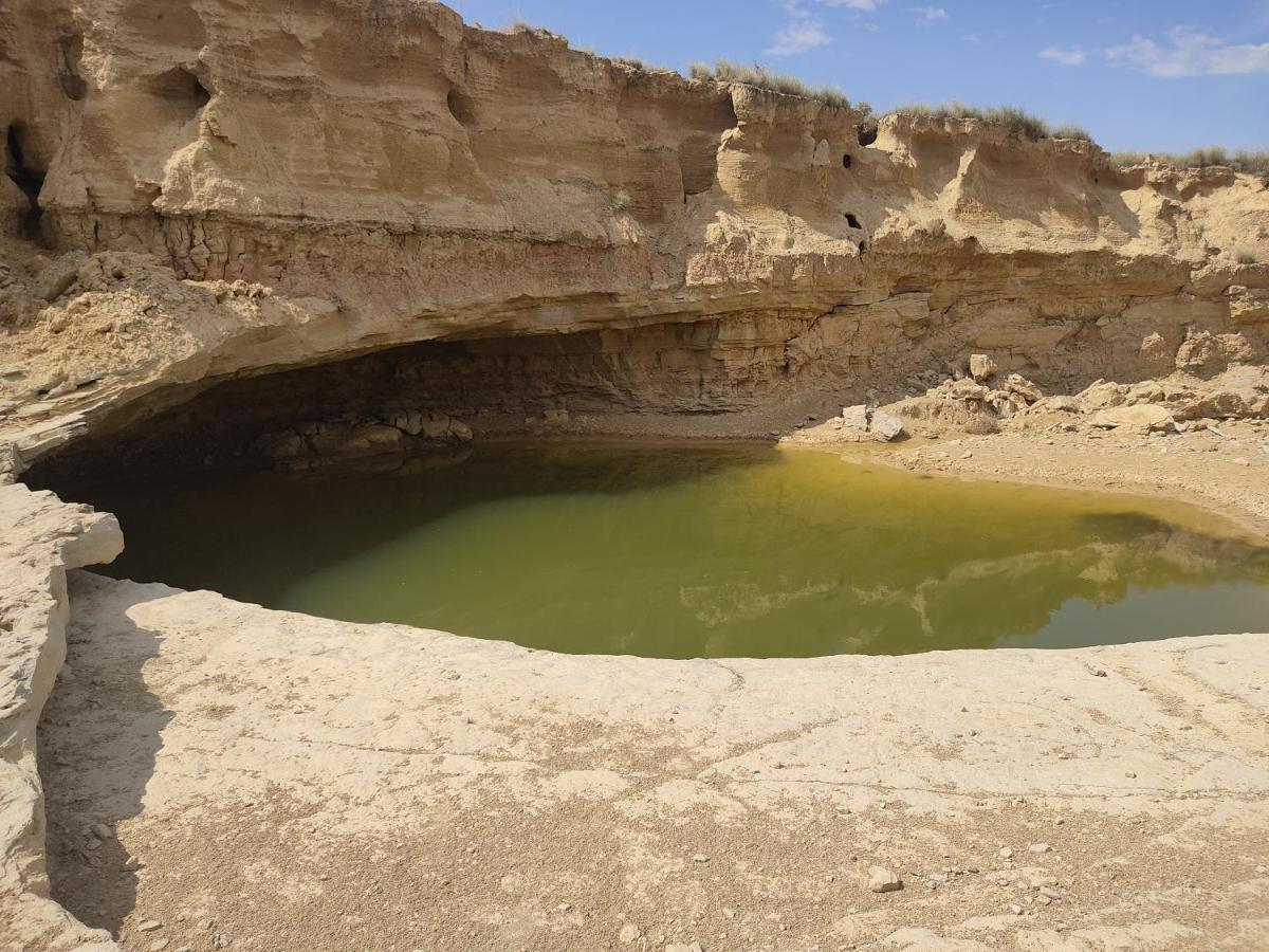 CarcastilloEl Pinar De Bardena别墅 外观 照片